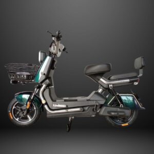 48V Electric Moped